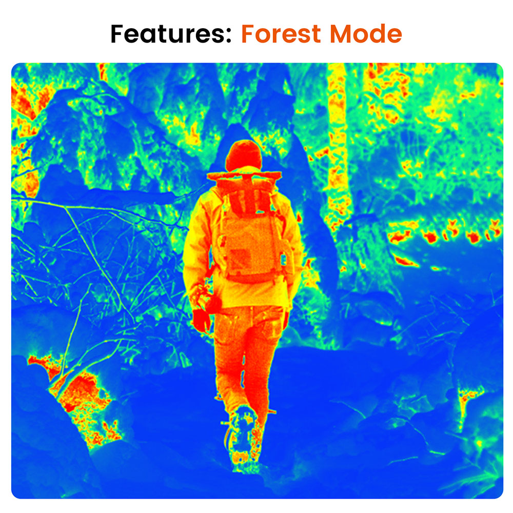 Features_ Forest Mode