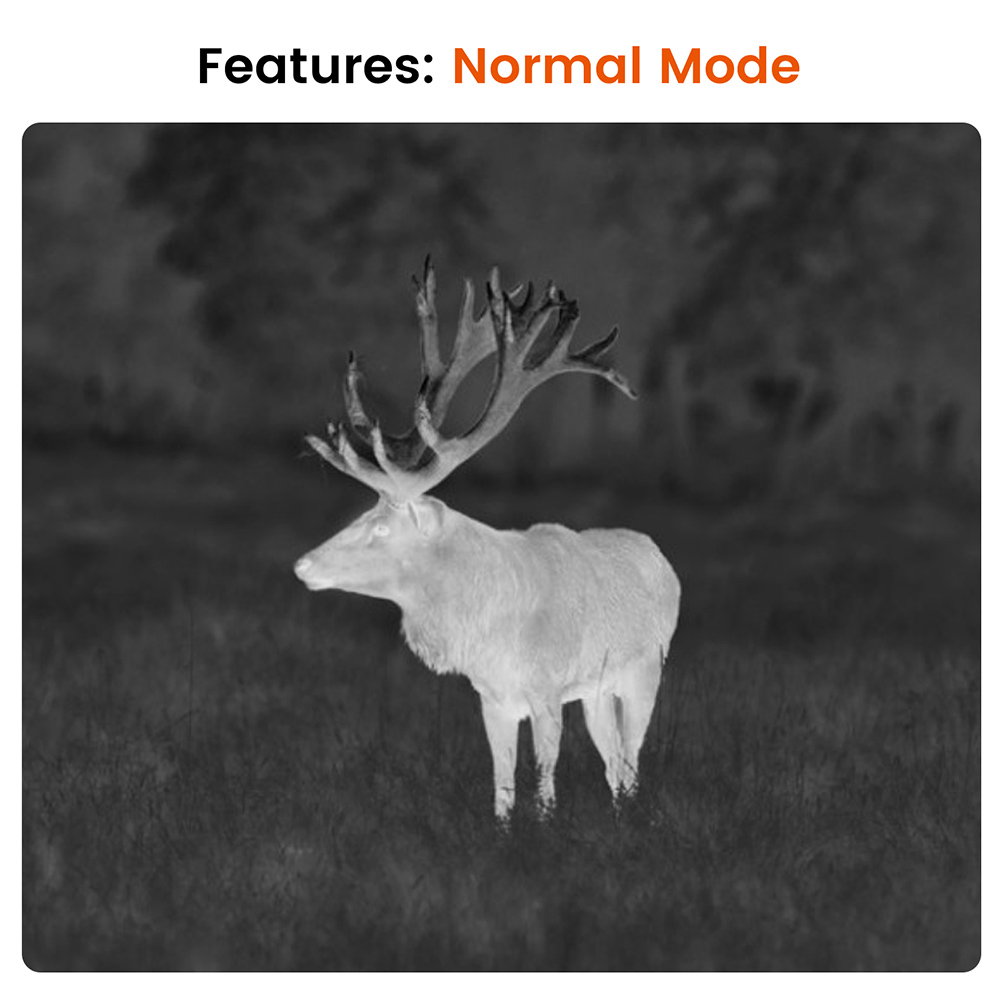 Features_ Normal Mode